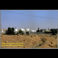17584 06 013 Resafa Syrien 2011.jpg
